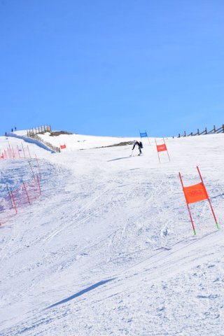 Чемпионат Узбекистана 2024